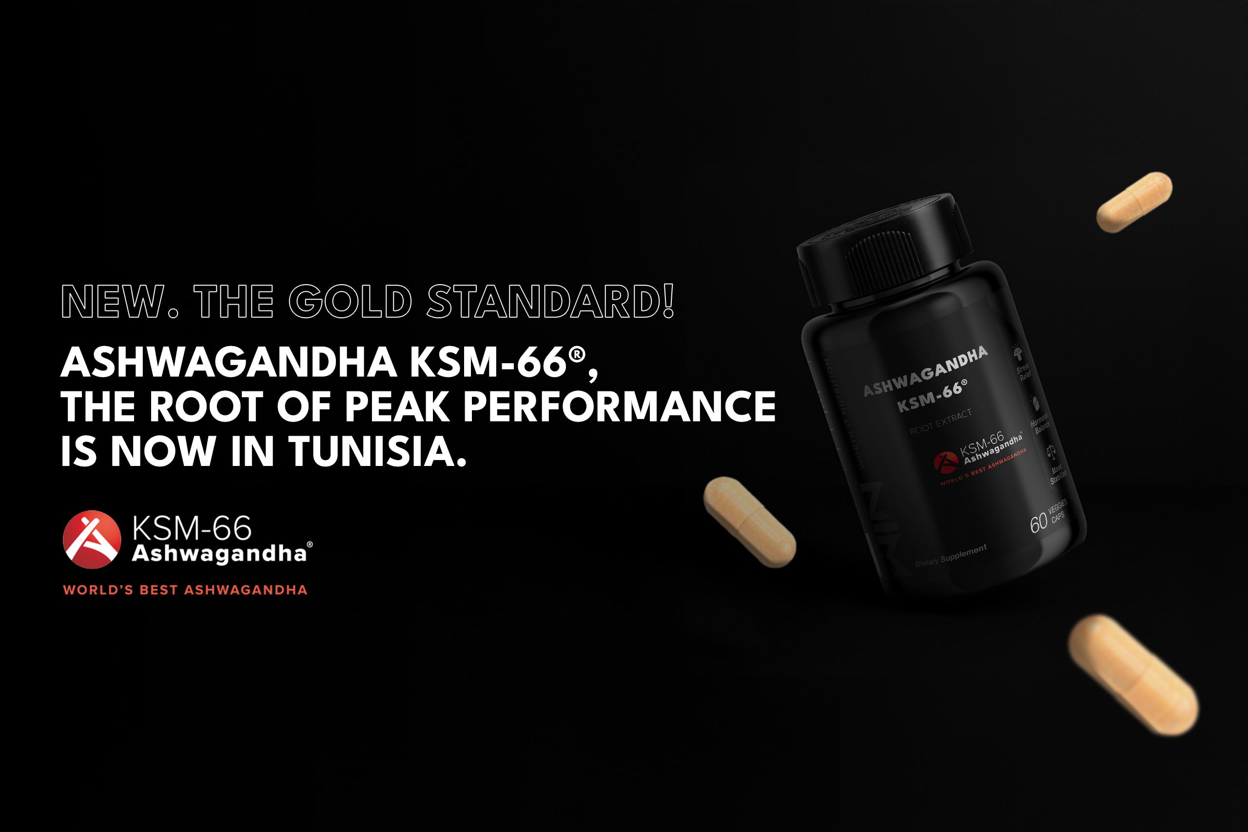 ASHWAGANDHA KSM-66
