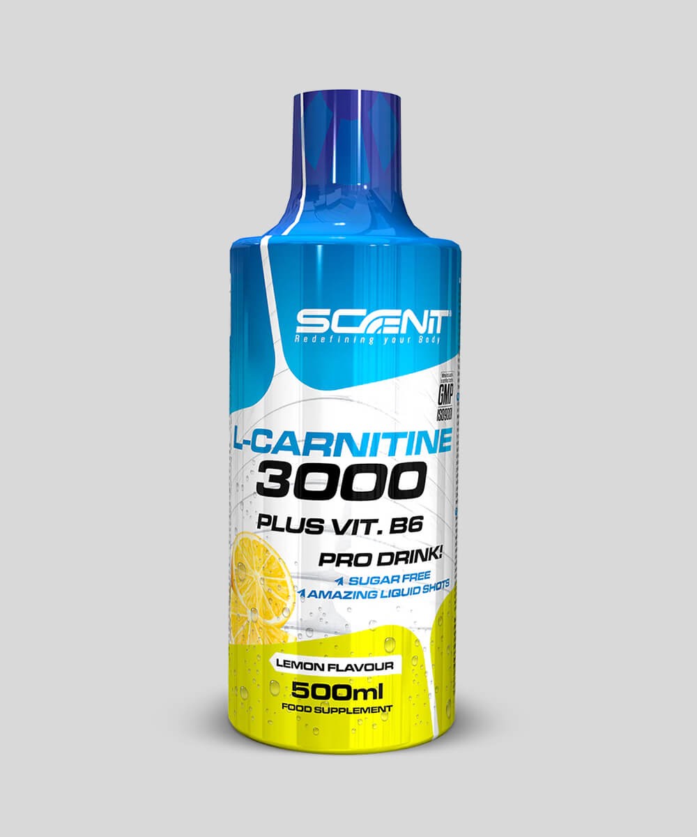 l carnitine tunisie L-Carnitine 3000 + B6 Scenit Nutrition 500ml